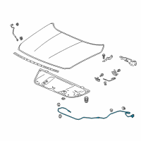 OEM Honda Wire Assembly, Hood (Deep Black) Diagram - 74130-TVA-A02ZA