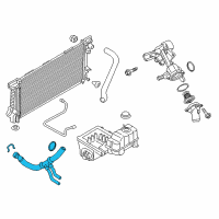 OEM Ford Expedition Lower Hose Diagram - BL3Z-8286-A