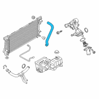 OEM 2016 Ford Expedition Upper Hose Diagram - FL1Z-8260-B