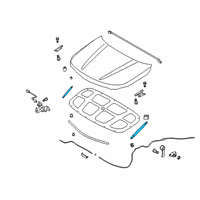 OEM 2022 Kia Telluride Lifter-Hood Diagram - 81161S9000