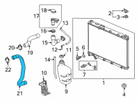 OEM 2020 Honda CR-V HOSE, WATER (LOWER) Diagram - 19502-5TZ-H01