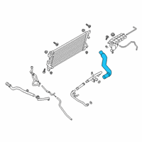 OEM 2018 Ford F-150 Upper Hose Diagram - JL3Z-8260-B