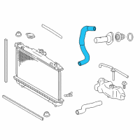 OEM Toyota Camry Lower Hose Diagram - 16572-0V060