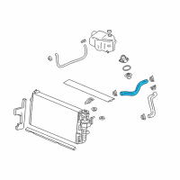 OEM Pontiac Lower Hose Diagram - 25666930