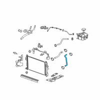 OEM 2016 Cadillac XTS Lower Hose Diagram - 23203513