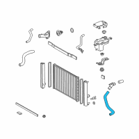 OEM 2010 Lexus HS250h Hose, Radiator, NO.1 Diagram - 16571-28340