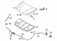 OEM 2021 Hyundai Elantra Rod Assembly-Hood Stay Diagram - 81170-AA000