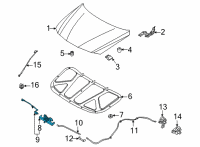 OEM 2022 Hyundai Elantra Switch Assembly-Hood Diagram - 81134-AA000