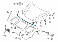 OEM 2022 Hyundai Ioniq 5 W/STRIP-HOOD Diagram - 86430-GI000