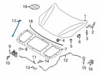 OEM Hyundai Ioniq 5 LIFTER-HOOD, LH Diagram - 81161-GI000