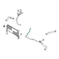 OEM 2020 Hyundai Elantra GT Hose-Radiator To Reservoir Diagram - 25451-F3300