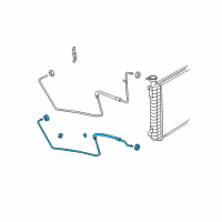 OEM Chevrolet Express 1500 Lower Hose Diagram - 25849126