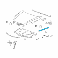 OEM Saturn Vue Strut Cylinder Diagram - 96661547