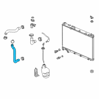 OEM Honda CR-V Hose, Water (Lower) Diagram - 19502-5PH-A00