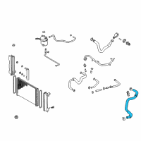 OEM 2004 Toyota Celica Lower Hose Diagram - 16571-22080