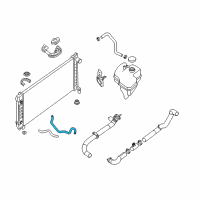 OEM 2017 Nissan Altima Hose - Auto Transmission Oil Cooler Diagram - 21631-3NT0D