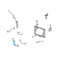 OEM Honda Fit Hose, Water (Lower) Diagram - 19502-RB0-000