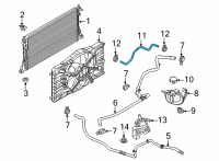 OEM 2022 Ford Mustang Mach-E HOSE - OVERFLOW Diagram - LJ9Z-8075-A