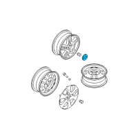 OEM 2005 Kia Spectra5 Wheel Hub Cap Assembly Diagram - 529602F100