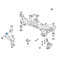 OEM 2015 Kia Sportage Stopper"A" Diagram - 545524W000