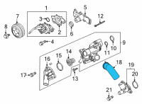 OEM Ford F-150 Outlet Hose Diagram - HL3Z-8K576-A