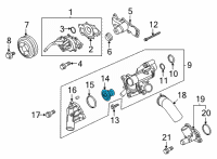 OEM Ford F-150 THERMOSTAT ASY Diagram - ML3Z-8575-A