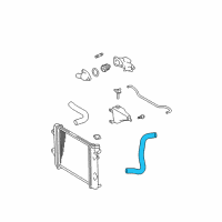 OEM Toyota 4Runner Lower Hose Diagram - 16572-31170