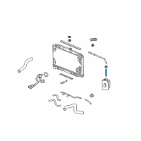 OEM Honda Pilot Hose, Reserve Tank Diagram - 19103-PVF-A00