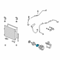 OEM 2006 Honda Ridgeline Stator Set Diagram - 38924-RJE-A01