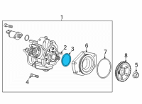 OEM 2022 Chevrolet Silverado 2500 HD Fuel Pump Assembly Seal Diagram - 12647917