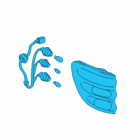 OEM Toyota Sequoia Tail Lamp Assembly Diagram - 81560-0C020