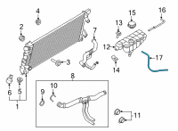 OEM Ford F-150 HOSE - WATER Diagram - ML3Z-8063-B