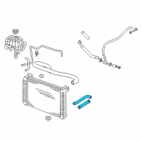 OEM 2009 Hummer H2 Radiator Outlet Hose (Lower) Diagram - 19130368