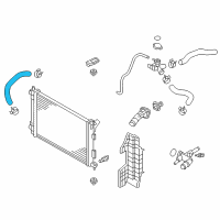 OEM Hyundai Elantra Hose-Radiator Lower Diagram - 25412-3X601