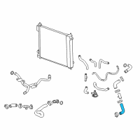 OEM Cadillac SRX Hose Asm-Radiator Outlet Diagram - 20795743