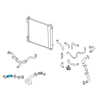 OEM 2010 Cadillac SRX Radiator Inlet Hose (Upper) Diagram - 20795712