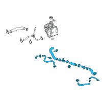 OEM Cadillac Lower Hose Diagram - 84134895