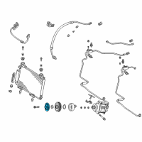 OEM Toyota Echo Clutch Diagram - 88403-16020