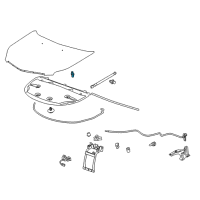 OEM 2004 Chevrolet Trailblazer EXT Support Strut Stud Diagram - 11569762