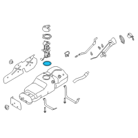 OEM 2017 Nissan Titan Ring O Fuel Gag Diagram - 17342-7S000