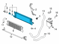 OEM Honda W-Radiator Complete Diagram - 1J010-5RD-J01