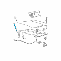 OEM 2005 Lincoln Town Car Lift Cylinder Diagram - 3W1Z-16C826-AA