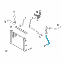 OEM 2020 Toyota C-HR Lower Hose Diagram - 16573-0T120