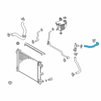 OEM 2018 Toyota C-HR Rear Hose Diagram - 16571-0T290