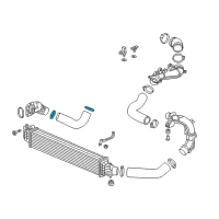 OEM 2019 Honda Accord Band, Intercooler Hose (D62) Diagram - 17316-6B2-A01