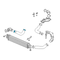 OEM Acura BAND, INTERCOOLER HOSE (D62) Diagram - 17316-6B2-A01