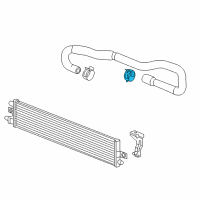 OEM 2013 GMC Sierra 2500 HD Lower Hose Clamp Diagram - 11570385