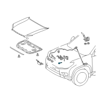 OEM Lexus GX460 Switch, Hood Courtesy Diagram - 84231-60120