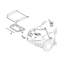 OEM Toyota C-HR Hood Tape Diagram - 90950-06124