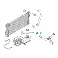 OEM 2011 Ford F-150 Lower Hose Diagram - BL3Z-8286-B